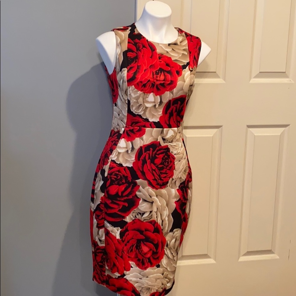 Calvin Klein Dress
